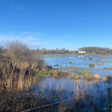 The Lodge On The Marsh Brading エクステリア 写真