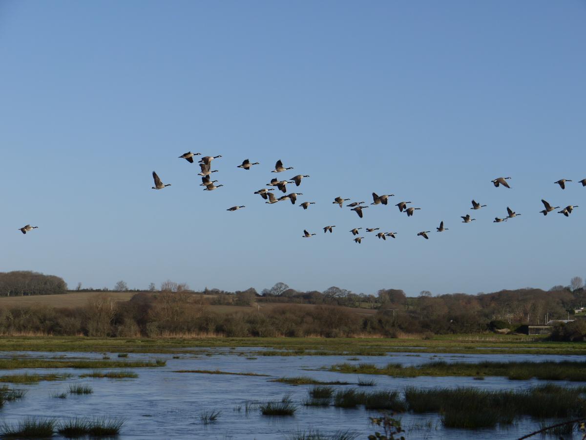 The Lodge On The Marsh Brading エクステリア 写真