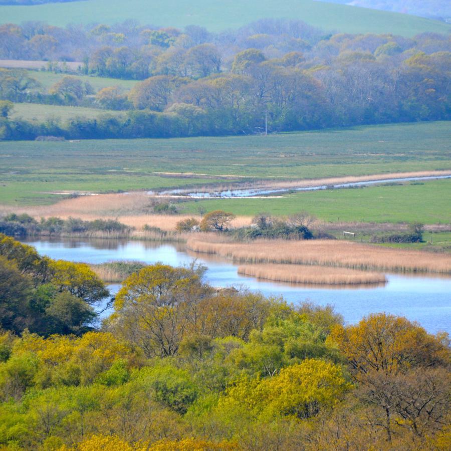 The Lodge On The Marsh Brading エクステリア 写真