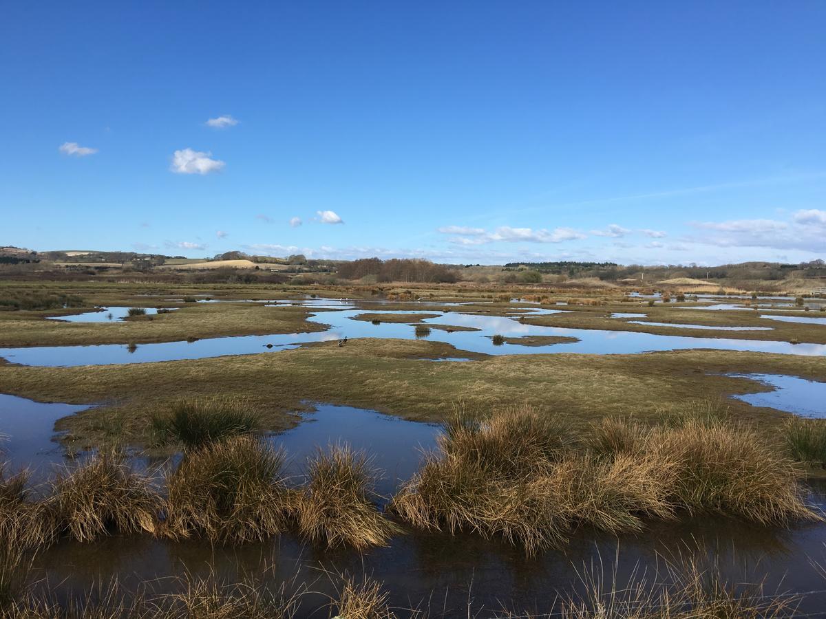 The Lodge On The Marsh Brading エクステリア 写真