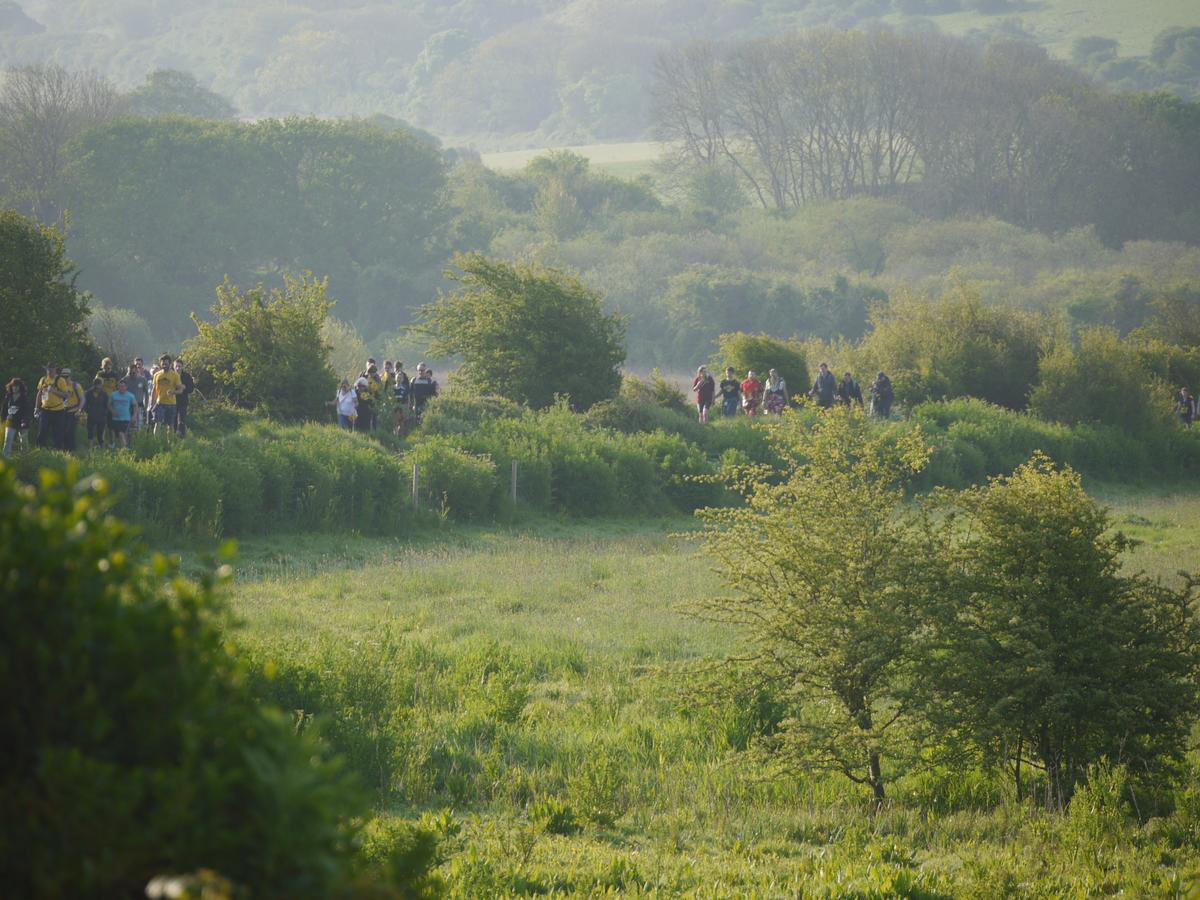 The Lodge On The Marsh Brading エクステリア 写真